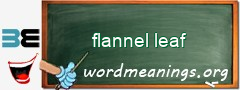 WordMeaning blackboard for flannel leaf